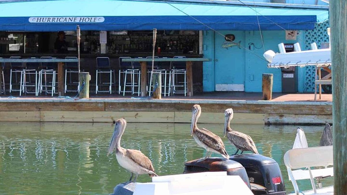 Restaurants With Outdoor Seating In Key West Featuring Kids Play Areas